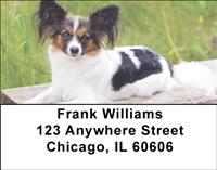 Papillon Pals Address Labels