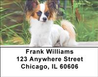 Papillon Pals Address Labels