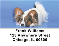 Cute Papillon Address Labels