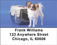 Cute Papillon Address Labels