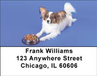 Cute Papillon Address Labels