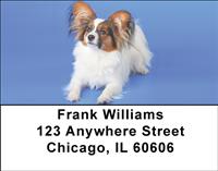 Cute Papillon Address Labels
