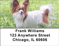 Outdoor Papillons Address Labels