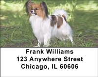 Outdoor Papillons Address Labels