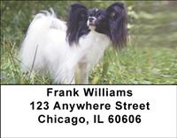 Outdoor Papillons Address Labels