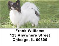 Outdoor Papillons Address Labels