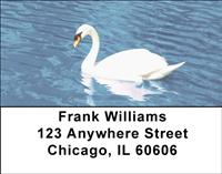 Swans Address Labels