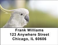 Cockatoos Address Labels