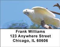 Cockatoos Address Labels
