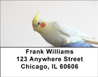Cockatiels Address Labels