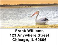 Pelicans Address Labels
