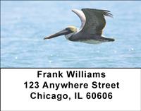 Pelicans Address Labels