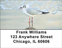 Seagulls Address Labels