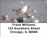 Seagulls Address Labels