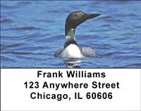 Loons Address Labels
