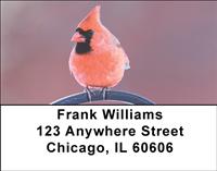 Cardinals Address Labels