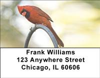 Cardinals Address Labels