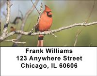 Cardinals Address Labels
