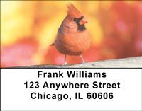 Cardinals Address Labels