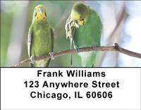 Parakeets Address Labels