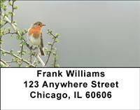 Robins Address Labels