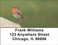 Robins Address Labels