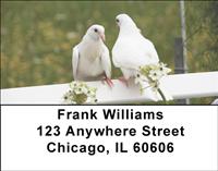 Doves Address Labels
