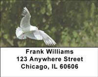 Doves Address Labels