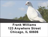 Doves Address Labels