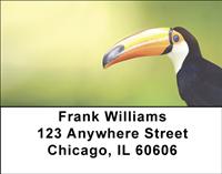 Toucans Address Labels