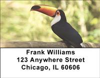 Toucans Address Labels