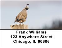 Quail Address Labels