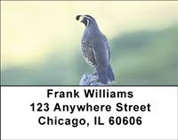 Quail Address Labels