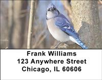 Blue Jays Address Labels