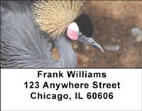Cranes Address Labels