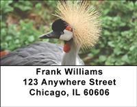 Cranes Address Labels