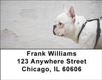White French Bulldogs Address Labels