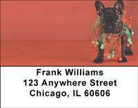 Black French Bulldogs Address Labels