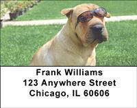 Sharpeis Address Labels