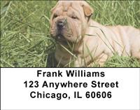 Sharpeis Address Labels