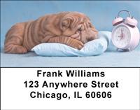 Sleepy Sharpeis Address Labels