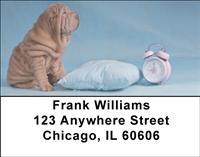 Sleepy Sharpeis Address Labels