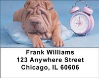 Sleepy Sharpeis Address Labels