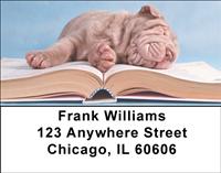 Sleepy Sharpeis Address Labels