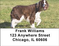 Sweet Springer Spaniels Address Labels