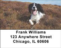Lovable Springers Address Labels