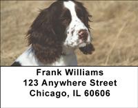 Lovable Springers Address Labels