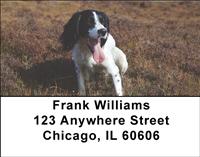 Lovable Springers Address Labels