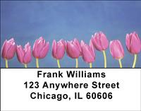 Purple Tulips Address Labels