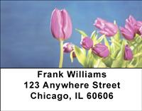 Purple Tulips Address Labels